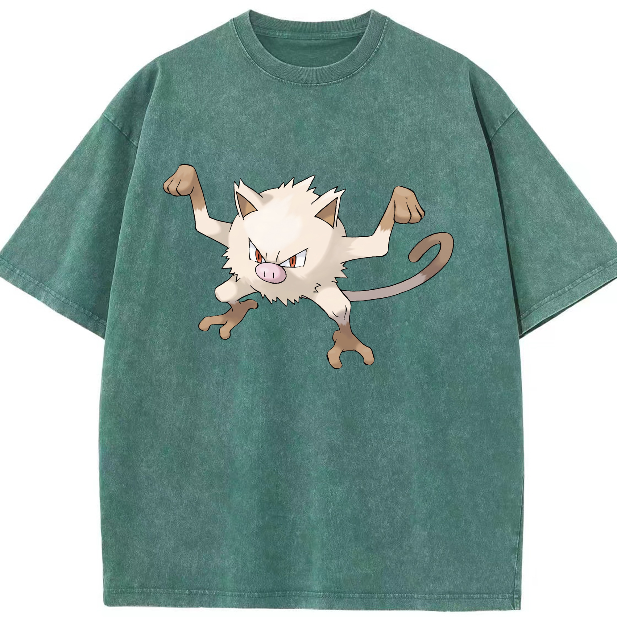 （画像用） ポケットモンスター Pokémon 綿100% ヴィンテージ風 半袖Tシャツ（フロントプリント）